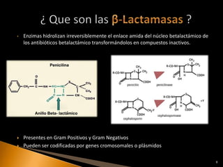 •   Enzimas hidrolizan irreversiblemente el enlace amida del núcleo betalactámico de
    los antibióticos betalactámico transformándolos en compuestos inactivos.




   Presentes en Gram Positivos y Gram Negativos
   Pueden ser codificadas por genes cromosomales o plásmidos

                                                                                       8
 