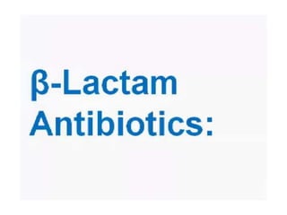 B lactam (enzyme inhabitor )