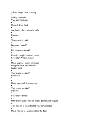 Adds a tough, thick covering
•
Mainly corkcells
Vascular Cambium
•
One cell layer thick
•
A cylinder of meristematic cells
•
Produces
•
Xylem on the inside
•
Becomes “wood”
•
Phloem on the outside
•
Usually less phloem than xylem
SecondaryXylem: Wood
•
Older layers of xylem no longer
transport water and minerals
(xylem sap)
•
This xylem is called “
heartwood
”
•
Outer layers still transport sap
•
This xylem is called “
sapwood
”
SecondaryPhloem
•
Only the youngest phloem carries phloem sap (sugar)
•
This phloem is closestto the vascular cambium
•
Older phloem is sloughed off as the diam
 