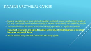 INVASIVE UROTHELIAL CANCER
 Invasive urothelial cancer associated with papillary urothelial cancer (usually of high grade) or
CIS may superficially invade the lamina propria or extend more deeply into underlying muscle.
 Underestimation of the extent of invasion in biopsy specimens is a significant problem.
 The extent of invasion and spread (staging) at the time of initial diagnosis is the most
important prognostic factor.
 Almost all infiltrating urothelial carcinomas are of high grade.
 