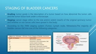 STAGING OF BLADDER CANCERS
 Grading: tumor grade is the description of a tumor based on how abnormal the tumor cells
and the tumor tissue look under a microscope.
 Staging: cancer stage refers to the size and/or extent (reach) of the original (primary) tumor
and whether or not cancer cells have spread in the body.
 According to the TNM staging system (Tumor, Lymph node, Metastasis),The majority of
bladder cancers fall into one of the following categories:
 