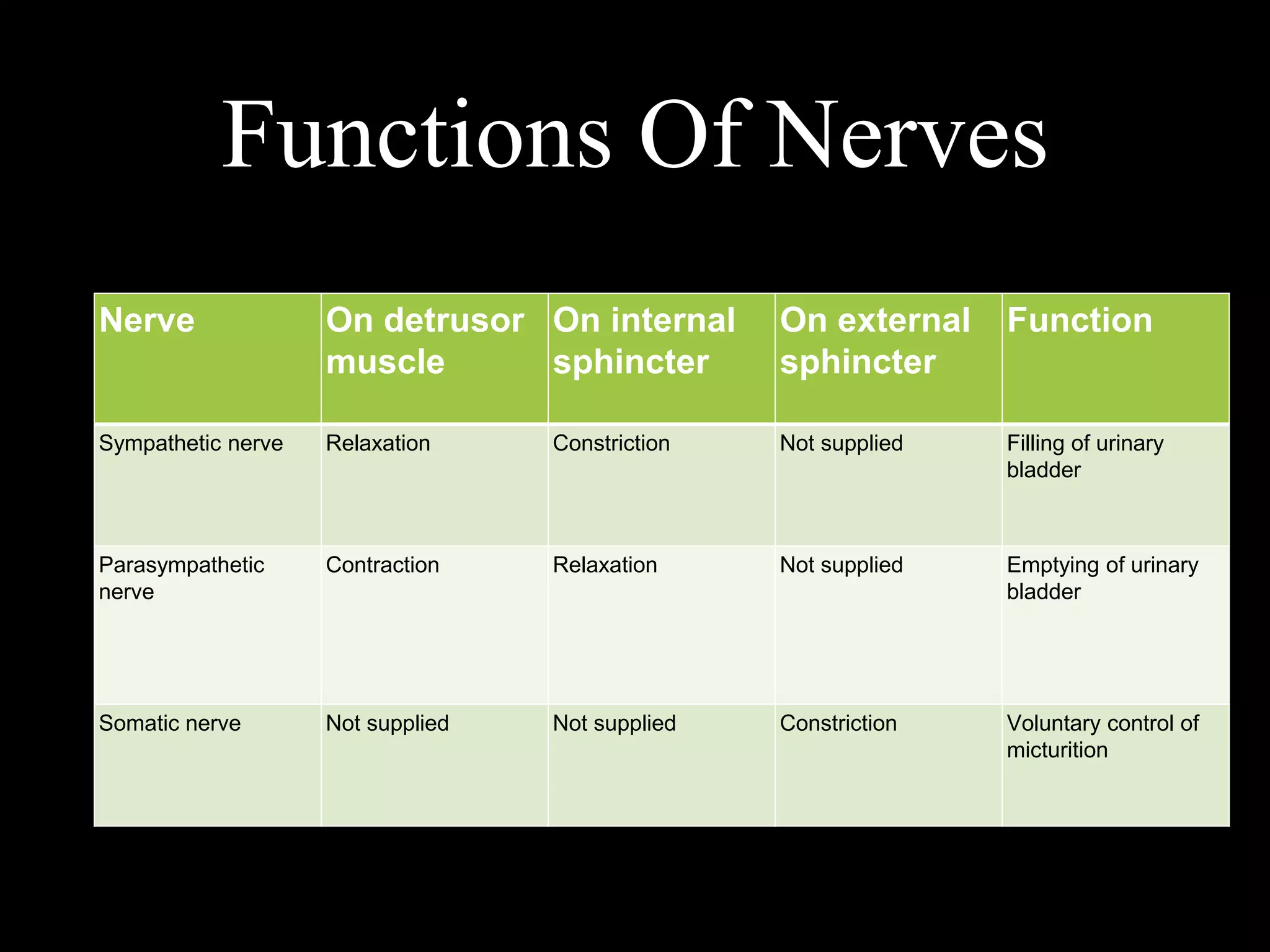 Functions Of Nerves
Nerve On detrusor
muscle
On internal
sphincter
On external
sphincter
Function
Sympathetic nerve Relaxation Constriction Not supplied Filling of urinary
bladder
Parasympathetic
nerve
Contraction Relaxation Not supplied Emptying of urinary
bladder
Somatic nerve Not supplied Not supplied Constriction Voluntary control of
micturition
 