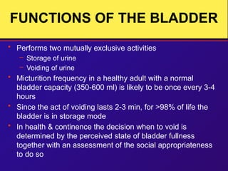 bladder anatomy and physiology and related disorders | PPTX