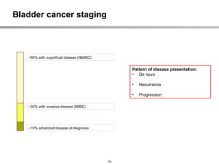 nccn bladder cancer guidelines for the treatment of bladder cancer | PPTX