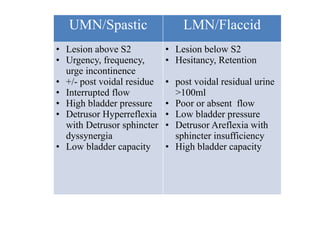 Neurologic bladder diagnosis nephrology .pptx