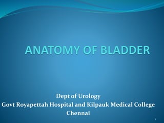 Dept of Urology
Govt Royapettah Hospital and Kilpauk Medical College
Chennai
1
 