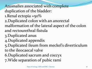 Anomalies associated with complete
duplication of the bladder:
1.Renal ectopia =50%
2.Duplicated colon with an anorectal
malformation of the lateral aspect of the colon
and rectourethral fistula
3.Duplicated anus
4.Duplicated appendix
5.Duplicated ileum from meckel’s diverticulum
to the ileocaecal valve
6.Duplicated sacrum and coccyx
7.Wide separation of pubic rami
18
Dept of Urology, GRH and KMC, Chennai.
 