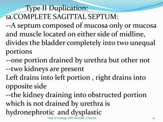 Type II Duplication:
1a.COMPLETE SAGITTAL SEPTUM:
--A septum composed of mucosa only or mucosa
and muscle located on either side of midline,
divides the bladder completely into two unequal
portions
--one portion drained by urethra but other not
--two kidneys are present
Left drains into left portion , right drains into
opposite side
--the kidney draining into obstructed portion
which is not drained by urethra is
hydronephrotic and dysplastic
22
Dept of Urology, GRH and KMC, Chennai.
 