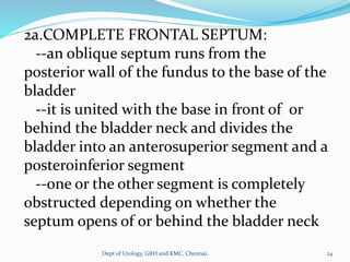 2a.COMPLETE FRONTAL SEPTUM:
--an oblique septum runs from the
posterior wall of the fundus to the base of the
bladder
--it is united with the base in front of or
behind the bladder neck and divides the
bladder into an anterosuperior segment and a
posteroinferior segment
--one or the other segment is completely
obstructed depending on whether the
septum opens of or behind the bladder neck
24
Dept of Urology, GRH and KMC, Chennai.
 