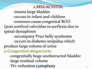 2.MEGACYSTIS:
-means large bladder
-occurs in infant and children
-common cause congenital BOO
(post.urethral valve)due to areflexia due to
spinal dysraphism
-accompany Prun belly syndrome
-occurs in diabetes insipidus which
produce large volume of urine
a.Congenital megacystis:
-congenitally huge unobstructed bladder
-large residual volume
-Trt: reduction cystoplasty 32
Dept of Urology, GRH and KMC, Chennai.
 