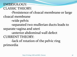 EMBRYOLOGY:
CLASSIC THEORY:
-Persistence of cloacal membrane or large
cloacal membrane
-wide pelvis
-separated two mullerian ducts leads to
separate vagina and uteri
-anterior abdominal wall defect
CURRENT THEORY:
-lack of rotation of the pelvic ring
primordia
38
Dept of Urology, GRH and KMC, Chennai.
 