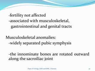 -fertility not affected
-associated with musculoskeletal,
gastrointestinal and genital tracts
Musculoskeletal anomalies:
-widely separated pubic symphysis
-the innominate bones are rotated outward
along the sacroiliac joint
40
Dept of Urology, GRH and KMC, Chennai.
 