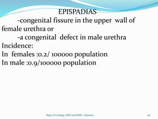 EPISPADIAS
-congenital fissure in the upper wall of
female urethra or
-a congenital defect in male urethra
Incidence:
In females :0.2/ 100000 population
In male :0.9/100000 population
46
Dept of Urology, GRH and KMC, Chennai.
 