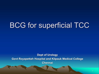 BCG for superficial TCC
Dept of Urology
Govt Royapettah Hospital and Kilpauk Medical College
Chennai
1
 