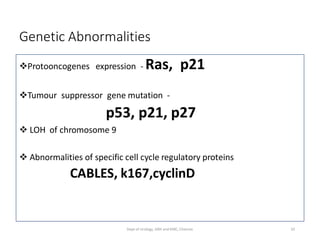 Genetic Abnormalities
Protooncogenes expression - Ras, p21
Tumour suppressor gene mutation -
p53, p21, p27
 LOH of chromosome 9
 Abnormalities of specific cell cycle regulatory proteins
CABLES, k167,cyclinD
10
Dept of Urology, GRH and KMC, Chennai.
 