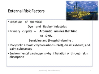 External Risk Factors
• Exposure of chemical
Dye and Rubber industries
• Primary culprits -- Aromatic amines that bind
to DNA .
Benzidine and β-naphthylamine ,
• Polycyclic aromatic hydrocarbons (PAH), diesel exhaust, and
paint substances
• Environmental carcinogens –by inhalation or through skin
absorption
11
Dept of Urology, GRH and KMC, Chennai.
 