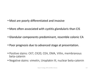 • Most are poorly differentiated and invasive
• More often associated with cystitis glandularis than CIS
• Glandular components predominant, resemble colonic CA
• Poor prognosis due to advanced stage at presentation.
• Positive stains: CK7, CK20, CEA, EMA, Villin, membranous
beta-catenin
• Negative stains: vimetin, Uroplakin III, nuclear beta-catenin
127
Dept of Urology, GRH and KMC, Chennai.
 