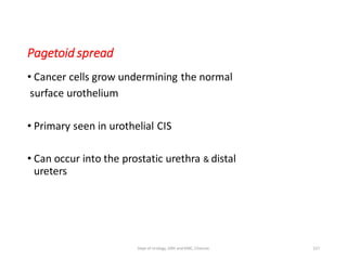 Pagetoid spread
• Cancer cells grow undermining the normal
surface urothelium
• Primary seen in urothelial CIS
• Can occur into the prostatic urethra & distal
ureters
157
Dept of Urology, GRH and KMC, Chennai.
 