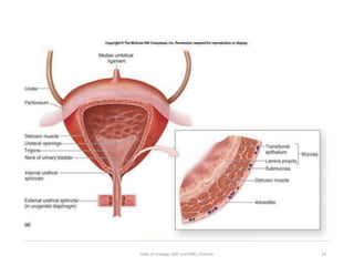 24
Dept of Urology, GRH and KMC, Chennai.
 