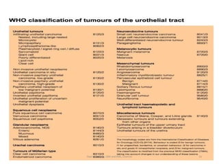 33
Dept of Urology, GRH and KMC, Chennai.
 