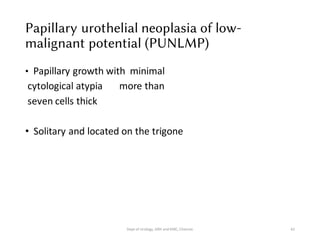Papillary urothelial neoplasia of low-
malignant potential (PUNLMP)
• Papillary growth with minimal
cytological atypia more than
seven cells thick
• Solitary and located on the trigone
42
Dept of Urology, GRH and KMC, Chennai.
 
