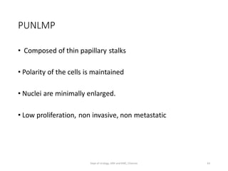 PUNLMP
• Composed of thin papillary stalks
• Polarity of the cells is maintained
• Nuclei are minimally enlarged.
• Low proliferation, non invasive, non metastatic
43
Dept of Urology, GRH and KMC, Chennai.
 
