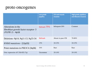 proto oncogenes
Low grade
papillry
CIS and muscle
invasive
High grade papillary
and Muscle invasive
Alterations in the
fibroblast growth factor receptor–3
(FGFR-3) - 4p16
Hallmark-75% Infrequent-20% Common
Deletions -9p14, 9q11-13, 9q33-34 Hallmark Absent in pure CIS 70-80%
H RAS mutations- (11p15) 15% 10-15% 10-15%
Point mutations in PIK3CA (3q26) 16% Rare Rare
Over expression of C-Erb B2 (7q) Uncommon 10-14% 10-14%
49
Dept of Urology, GRH and KMC, Chennai.
 