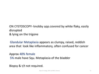 ON CYSTOSCOPY- knobby app.covered by white flaky, easily
disrupted
& lying on the trigone
Glandular Metaplasia appears as clumpy, raised, reddish
area that look like inflammatory, often confused for cancer
Approx 40% female
5% male have Squ. Metaplasia of the bladder
Biopsy & t/t not required.
52
Dept of Urology, GRH and KMC, Chennai.
 