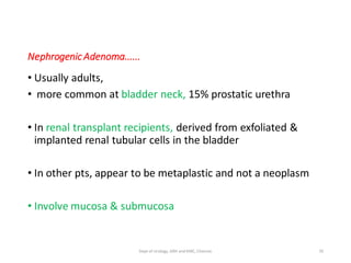 Nephrogenic Adenoma......
• Usually adults,
• more common at bladder neck, 15% prostatic urethra
• In renal transplant recipients, derived from exfoliated &
implanted renal tubular cells in the bladder
• In other pts, appear to be metaplastic and not a neoplasm
• Involve mucosa & submucosa
70
Dept of Urology, GRH and KMC, Chennai.
 