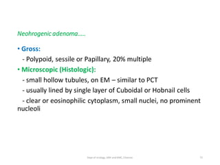 Neohrogenic adenoma.....
• Gross:
- Polypoid, sessile or Papillary, 20% multiple
• Microscopic (Histologic):
- small hollow tubules, on EM – similar to PCT
- usually lined by single layer of Cuboidal or Hobnail cells
- clear or eosinophilic cytoplasm, small nuclei, no prominent
nucleoli
72
Dept of Urology, GRH and KMC, Chennai.
 