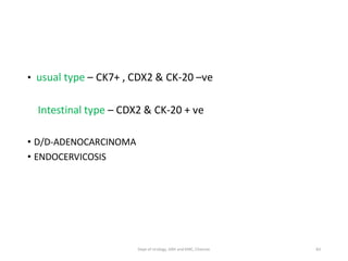 • usual type – CK7+ , CDX2 & CK-20 –ve
Intestinal type – CDX2 & CK-20 + ve
• D/D-ADENOCARCINOMA
• ENDOCERVICOSIS
83
Dept of Urology, GRH and KMC, Chennai.
 