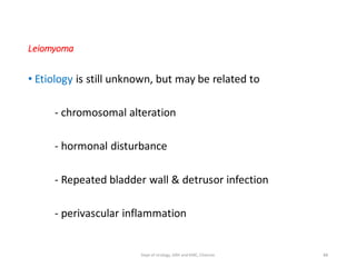 Leiomyoma
• Etiology is still unknown, but may be related to
- chromosomal alteration
- hormonal disturbance
- Repeated bladder wall & detrusor infection
- perivascular inflammation
88
Dept of Urology, GRH and KMC, Chennai.
 