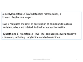 N-acetyl transferase (NAT) detoxifies nitrosamines, a
known bladder carcinogen.
NAT-2 regulates the rate of acetylation of compounds such as
caffeine, which are related to bladder cancer formation.
Glutathione-S transferase (GSTM1) conjugates several reactive
chemicals, including arylamines and nitrosamines.
9
Dept of Urology, GRH and KMC, Chennai.
 