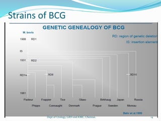Strains of BCG
14
Dept of Urology, GRH and KMC, Chennai.
 