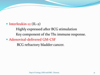  Interleukin-12 (IL-2)
Highly expressed after BCG stimulation
Key component of the Th1 immune response.
 Adenoviral-delivered GM-CSF
BCG refractory bladder cancer.
41
Dept of Urology, GRH and KMC, Chennai.
 