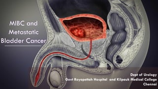 MIBC and
Metastatic
Bladder Cancer
Dept of Urology
Govt Royapettah Hospital and Kilpauk Medical College
Chennai
1
 