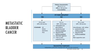 METASTATIC
BLADDER
CANCER
100
DEPT OF UROLOGY, GRH AND KMC, CHENNAI.
 