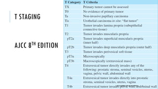 T STAGING
AJCC 8TH EDITION
15
DEPT OF UROLOGY, GRH AND KMC, CHENNAI.
 