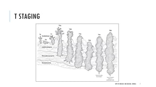 T STAGING
7
DEPT OF UROLOGY, GRH AND KMC, CHENNAI.
 
