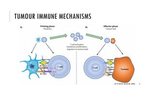 TUMOUR IMMUNE MECHANISMS
73
DEPT OF UROLOGY, GRH AND KMC, CHENNAI.
 