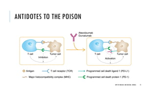 ANTIDOTES TO THE POISON
75
DEPT OF UROLOGY, GRH AND KMC, CHENNAI.
 