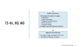 T2-4A, NO, MO
96
DEPT OF UROLOGY, GRH AND KMC, CHENNAI.
 