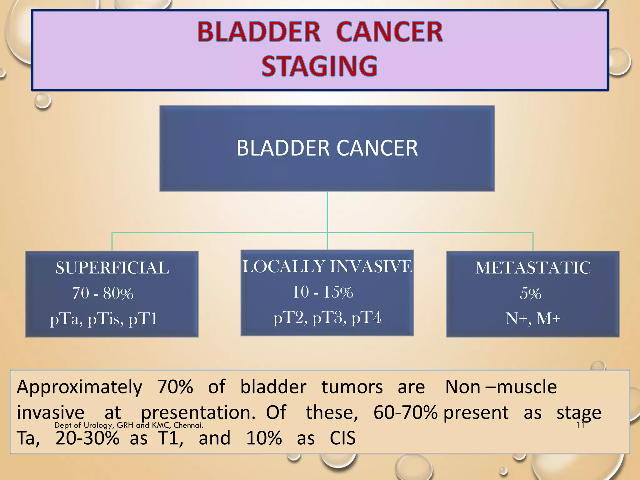 Non muscle invasive bladder carcinoma - management | PDF