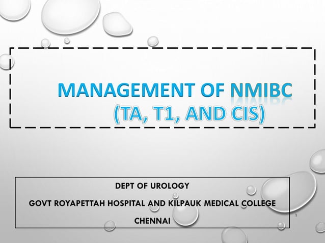 Non muscle invasive bladder carcinoma - management | PDF | Cancer ...