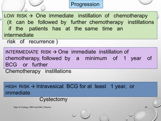 Non muscle invasive bladder carcinoma - management | PDF