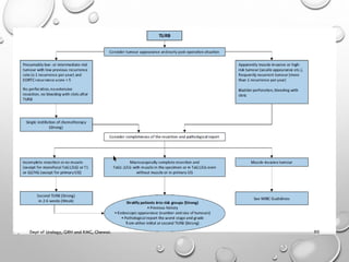 Non muscle invasive bladder carcinoma - management | PDF