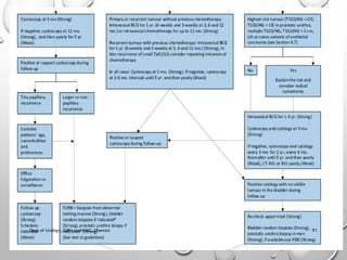 Non muscle invasive bladder carcinoma - management | PDF