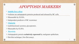 APOPTOSIS MARKERS
• Soluble Fas ( sFas)
isoforms are antiapoptotic proteins produced and released by BC cells.
Measurable by ELISA.
Independent predictor of BC recurrence
• Clusterin
multifunctional secretory glycoprotein .
Measuable by ELISA.
• Survivin
Antiapoptotic protein exclusively expressed by malignant epithelium.
Dot-blot technique ( bio-Dot assay).
16
 