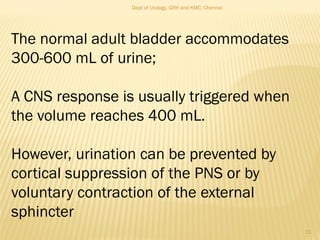 The normal adult bladder accommodates
300-600 mL of urine;
A CNS response is usually triggered when
the volume reaches 400 mL.
However, urination can be prevented by
cortical suppression of the PNS or by
voluntary contraction of the external
sphincter
11
Dept of Urology, GRH and KMC, Chennai.
 