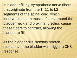 In bladder filling, sympathetic nerve fibers
that originate from the Th11 to L2
segments of the spinal cord, which
innervate smooth-muscle fibers around the
bladder neck and proximal urethra, cause
these fibers to contract, allowing the
bladder to fill
As the bladder fills, sensory stretch
receptors in the bladder wall trigger a CNS
response
9
Dept of Urology, GRH and KMC, Chennai.
 